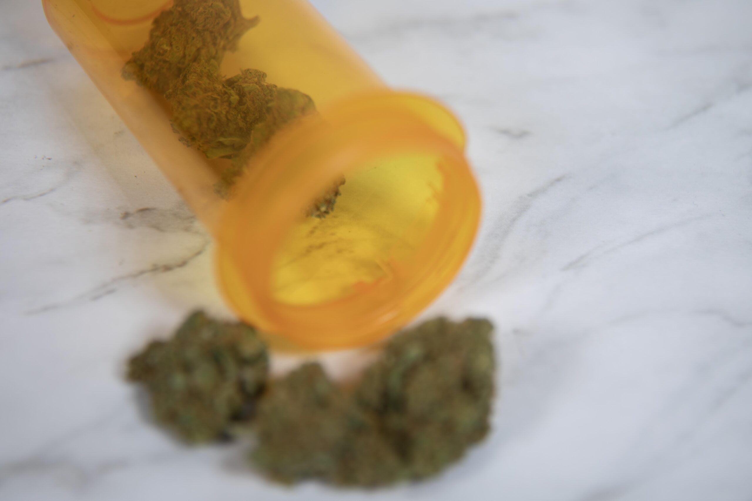 Top Three Strains of Cannabis for Medicinal Use in Florida as of April 2024